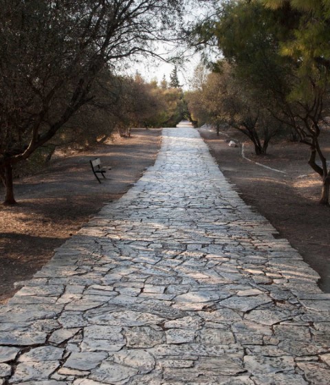 On the slopes of the Acropolis by Mayte Piera. Photograph © Mayte Piera